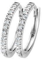 Blush Blush Oorbellen 7309WZI Oorringen 14k Witgoud met Briljant geslepen Zirkonia 1.5mm x 14mm Divers