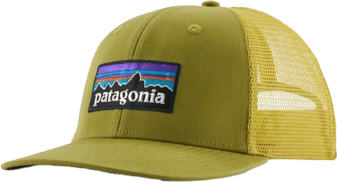 Patagonia P-6 Logo Trucker Pet Groen