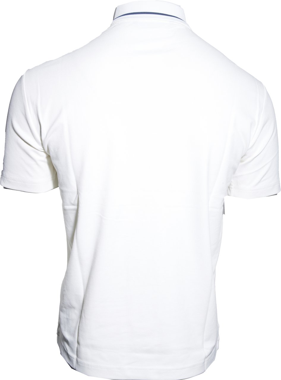 EA7 Polo Star White Wit