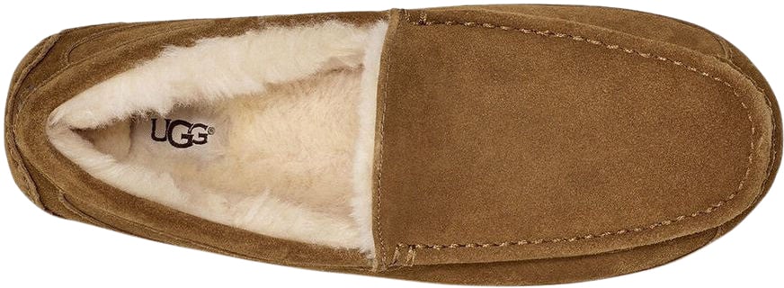 UGG Heren Pantoffels Bruin