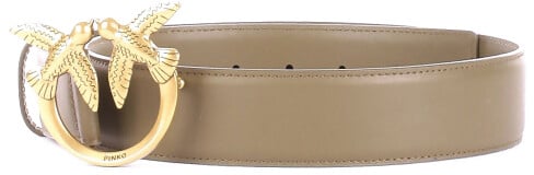 Pinko Belts Golden Goud