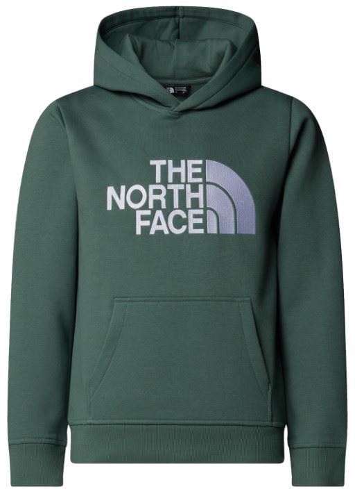 The North Face Drew Peak Hoodie Groen