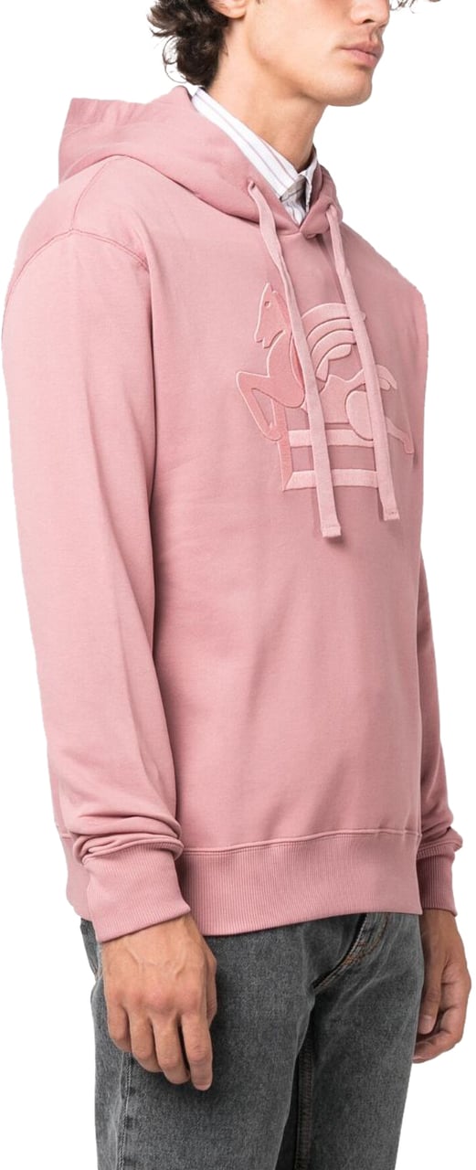 Etro Sweaters Pink Roze