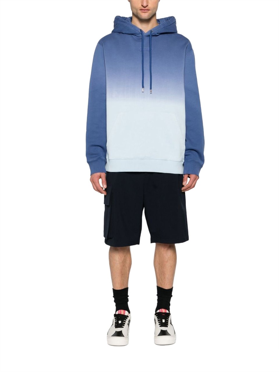 Lanvin Sweaters Azur Blauw