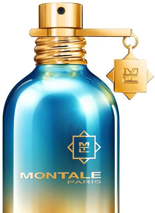 Montale Paris Parfum Day Dreams Divers