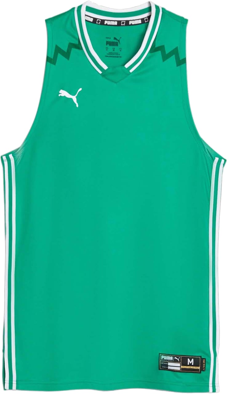 Puma Puma Hoops Basketbal Shirt Heren Groen Groen
