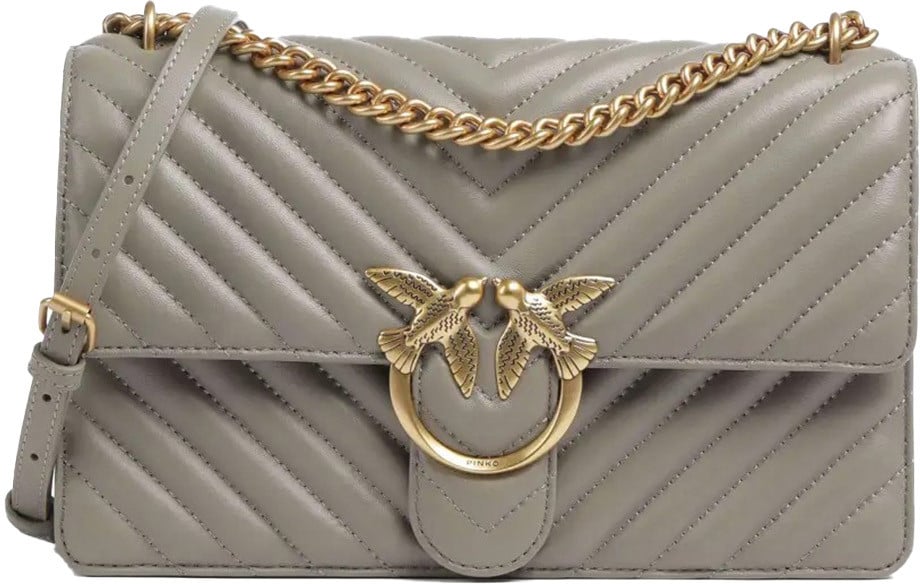 Pinko Bags Brown Bruin