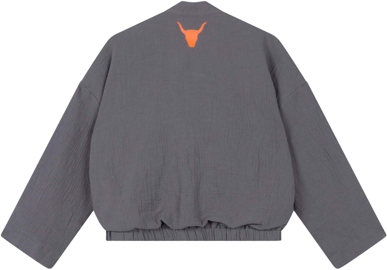 ALIX Crinkle Kimono Grijs