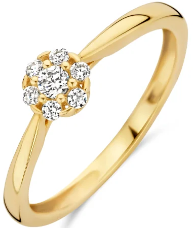 Blush Blush Ring 1248YZI/54 14k Geelgoud met Zirkonia Maat54 Divers