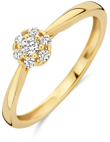 Blush Blush Ring 1248YZI/54 14k Geelgoud met Zirkonia Maat54 Divers