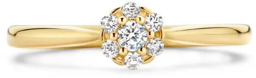 Blush Blush Ring 1248YZI/54 14k Geelgoud met Zirkonia Maat54 Divers