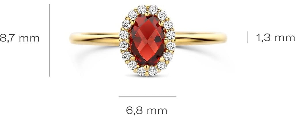 Blush Blush Ring 1271YGA/54 14k Geelgoud met Granaat en Zirkonia 6.7mm x 8.6mm Maat 54 Divers