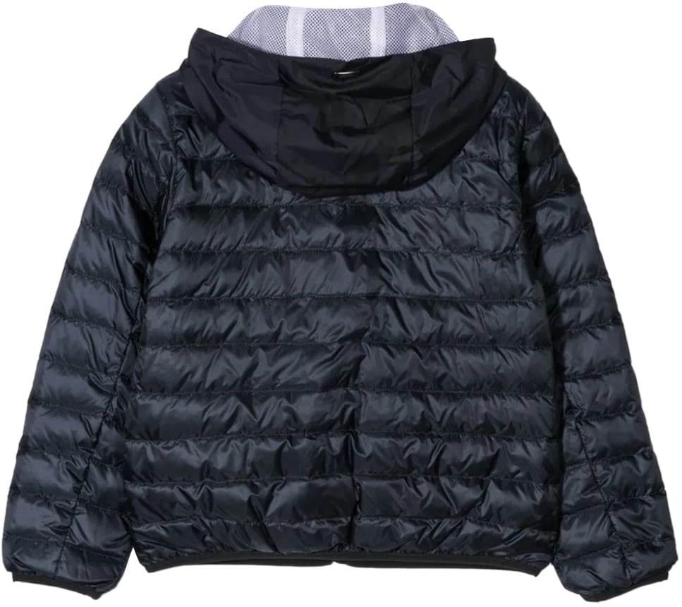Herno Giubbino Maschio Blauw