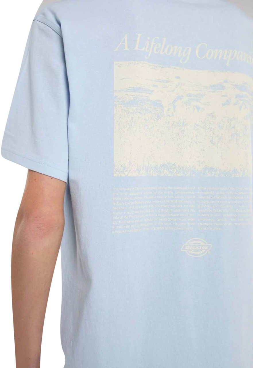 Dickies Dickies Companion Script T-shirt Lichtblauw Blauw