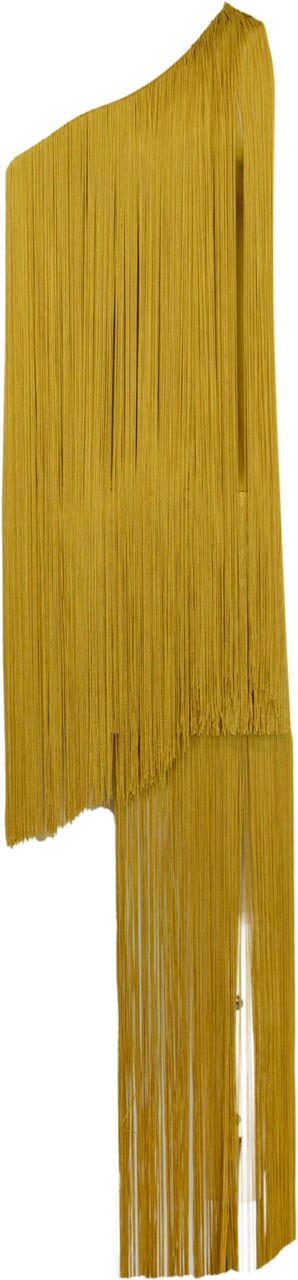 Elisabetta Franchi Dresses Curry Geel