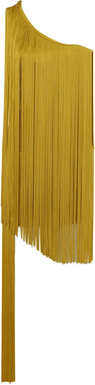 Elisabetta Franchi Dresses Curry Geel