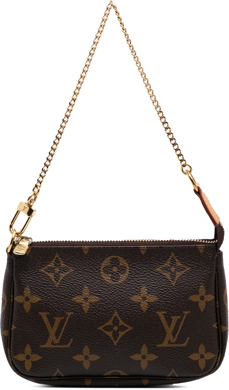 Louis Vuitton Monogram Mini Pochette Accessoires Bruin