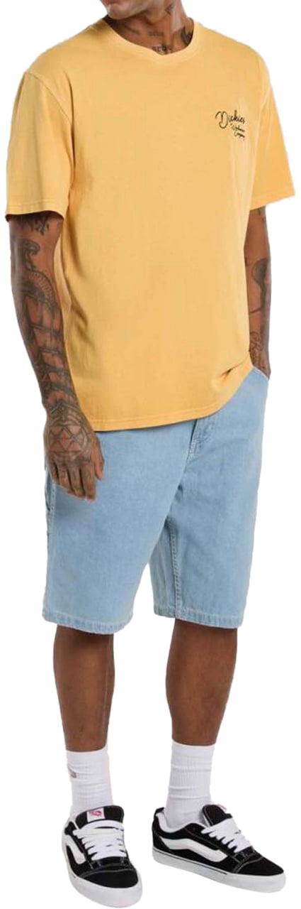 Dickies Dickies Garyville Denim Short Lichtblauw Blauw
