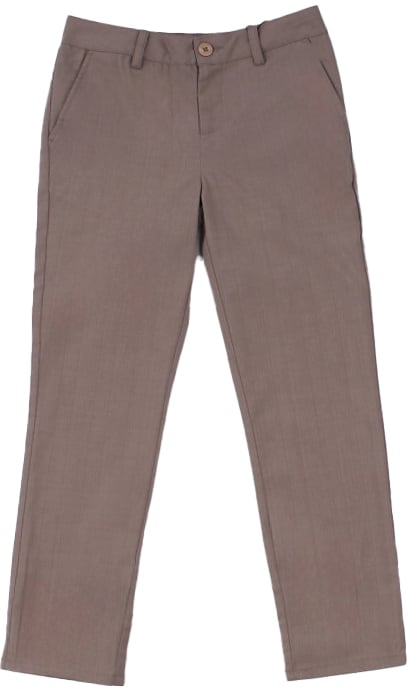 Guess Trousers Stone Grijs