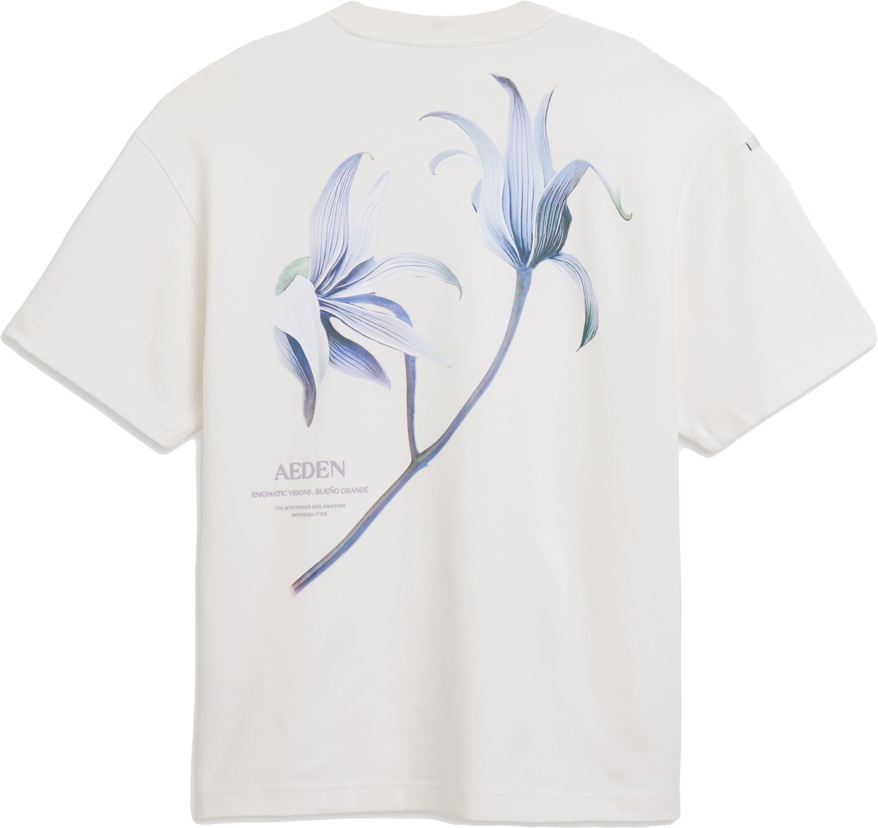 Aeden Misty Tee Off White Wit