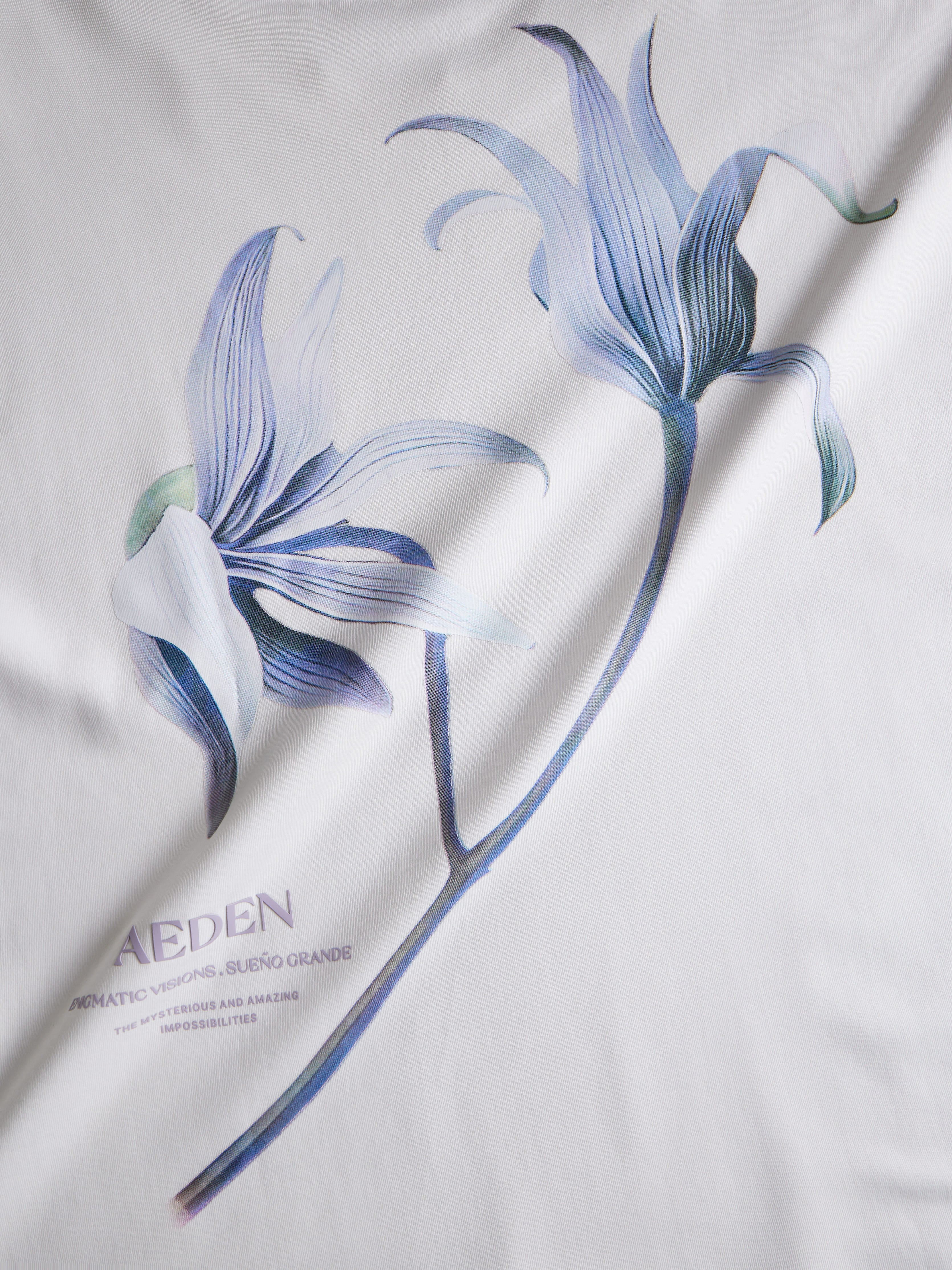 Aeden Misty Tee Off White Wit