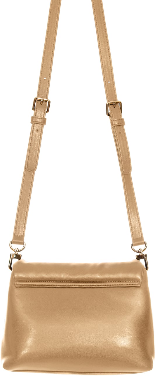 Chiara Ferragni Bags Brown Bruin