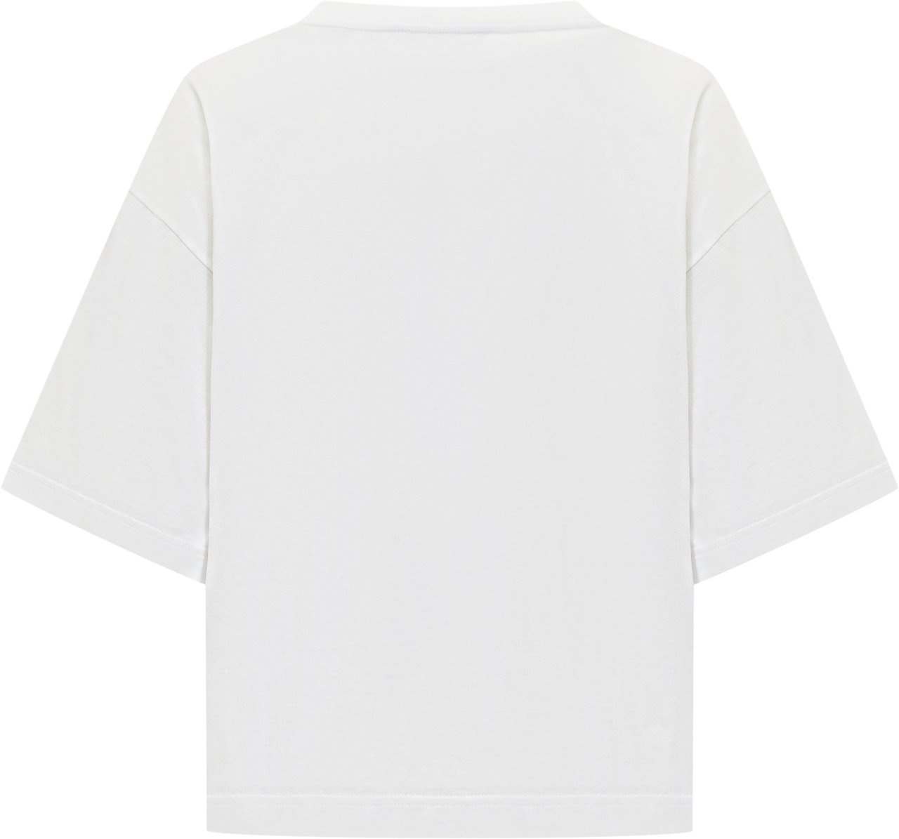 Dolce & Gabbana T-Shirts And Polos White Wit