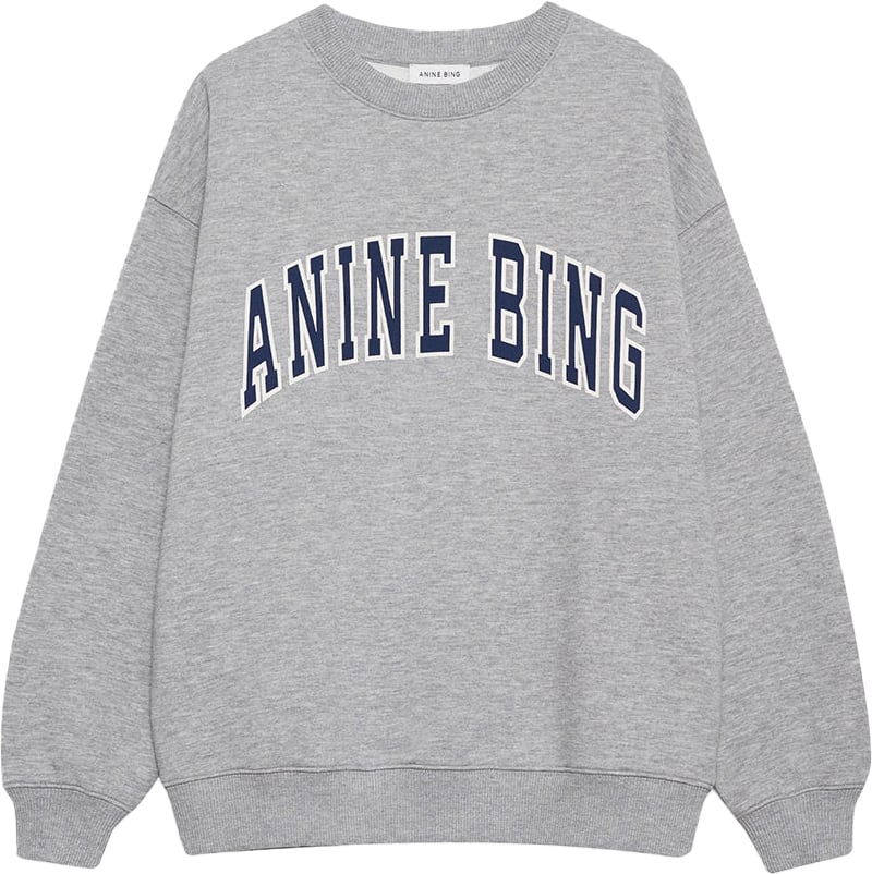 Anine Bing sweater grey Grijs