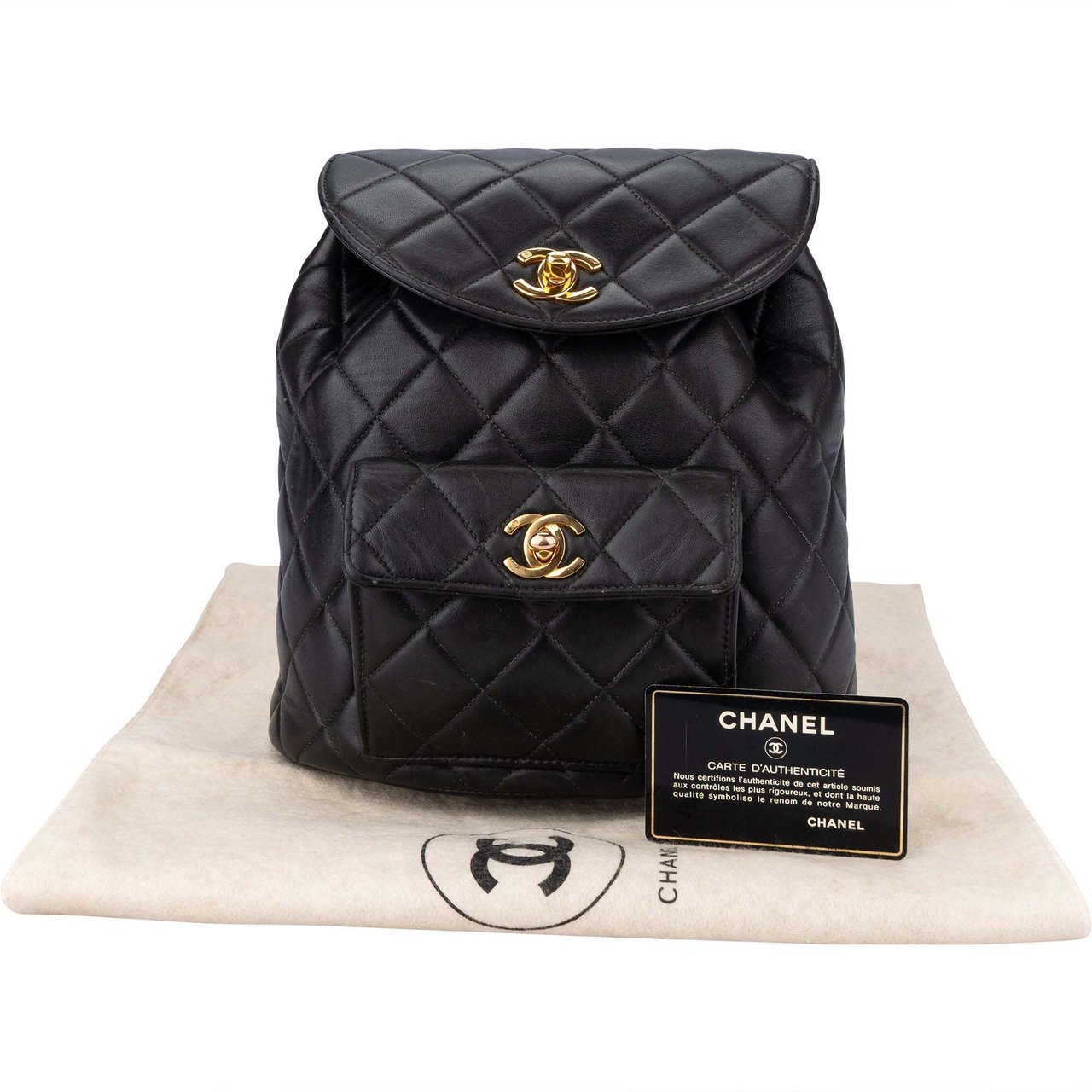 Chanel Chanel Quilted Lambskin Double CC Duma Backpack Divers