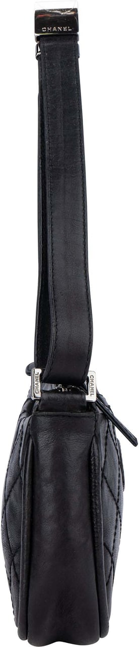 Chanel Chanel Quilted Leather Coco Shoulder Bag Divers