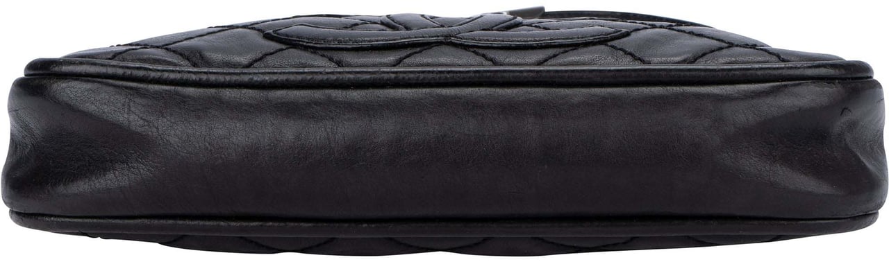 Chanel Chanel Quilted Leather Coco Shoulder Bag Divers