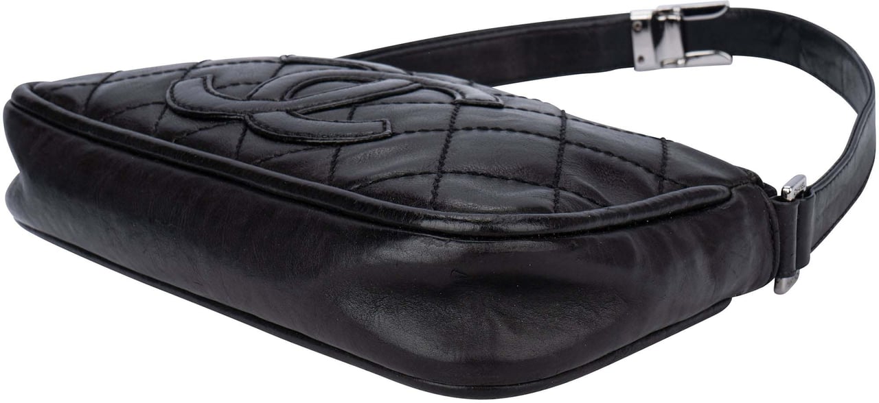 Chanel Chanel Quilted Leather Coco Shoulder Bag Divers