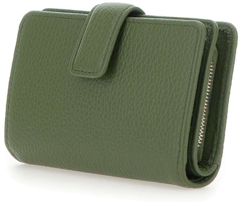 Gianni Chiarini Wallets Green Groen