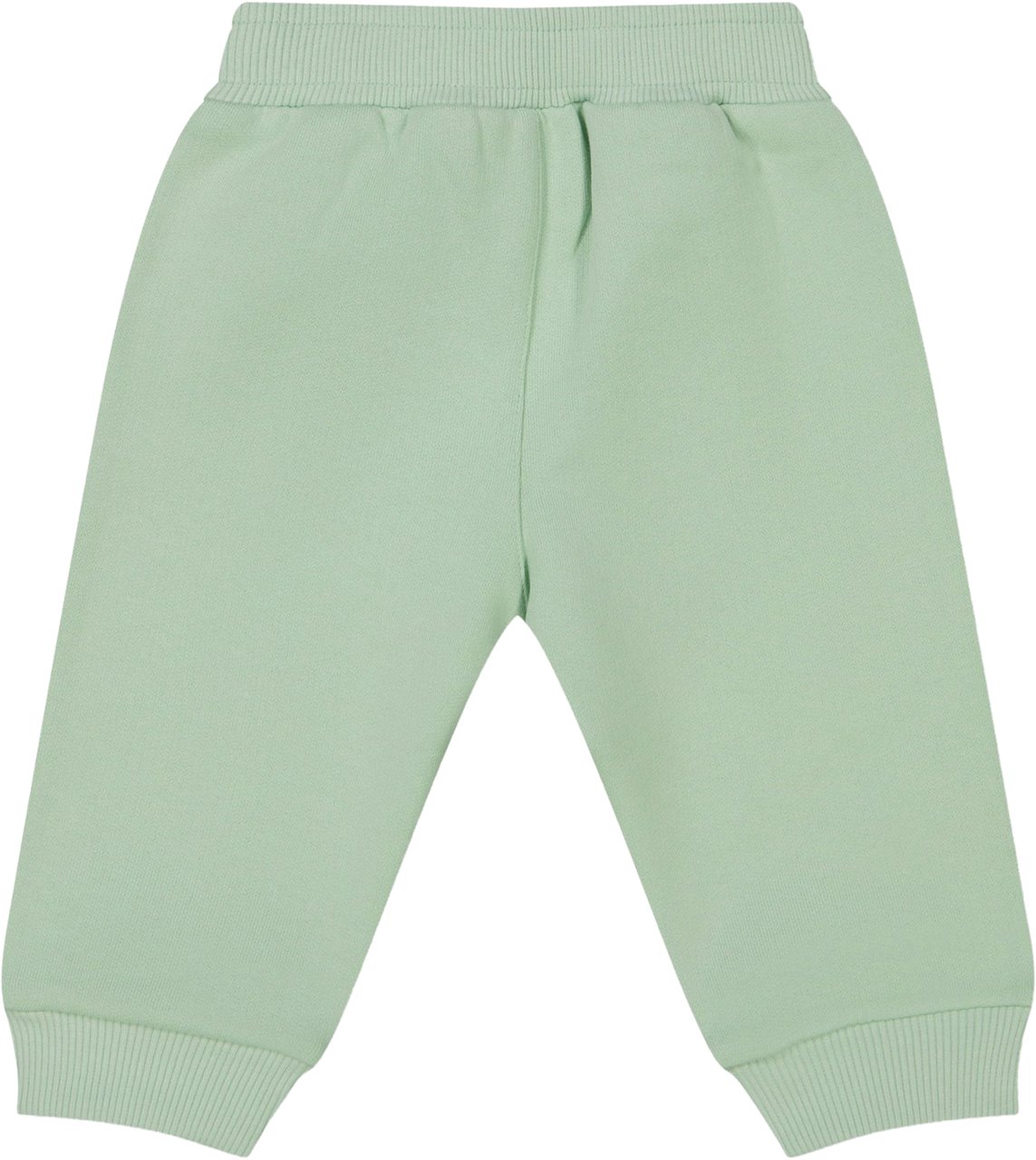 Dolce & Gabbana Dolce & Gabbana Baby Jongens Broek In Mint Groen