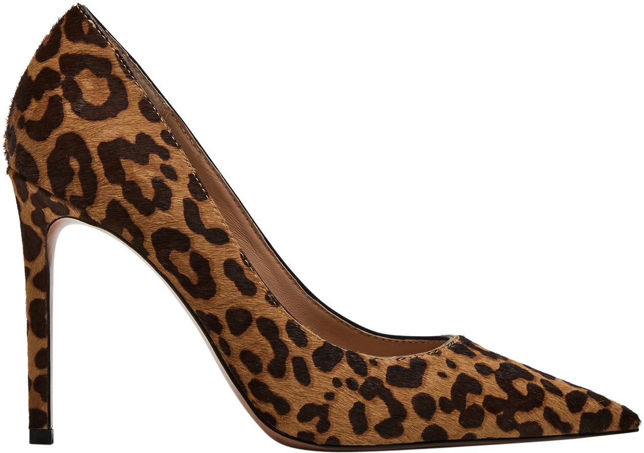 Steve Madden With Heel Brown Bruin