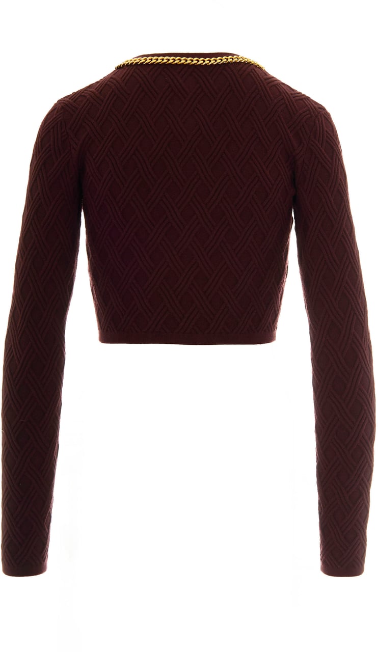 Elisabetta Franchi Sweaters Bordeaux Rood