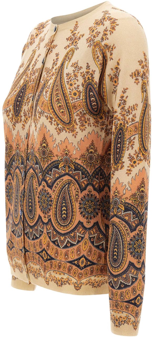Etro Sweaters Multicolour Divers