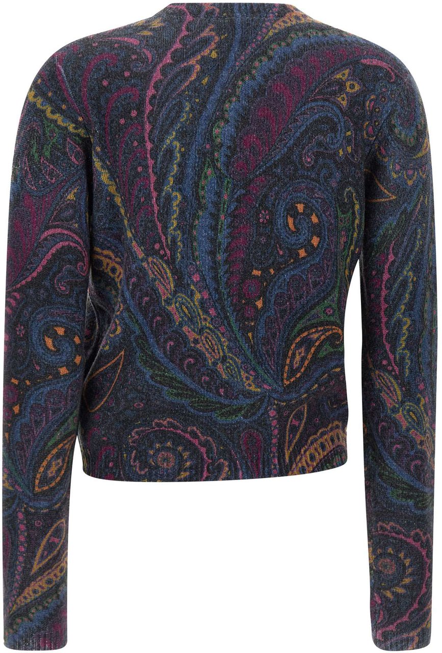 Etro Sweaters Multicolour Divers