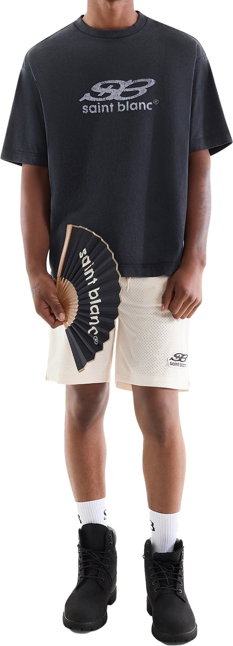 Saint Blanc Oblique T-Shirt Blue Graphite Grijs