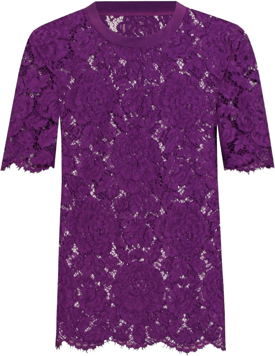Dolce & Gabbana T-Shirts And Polos Purple Paars