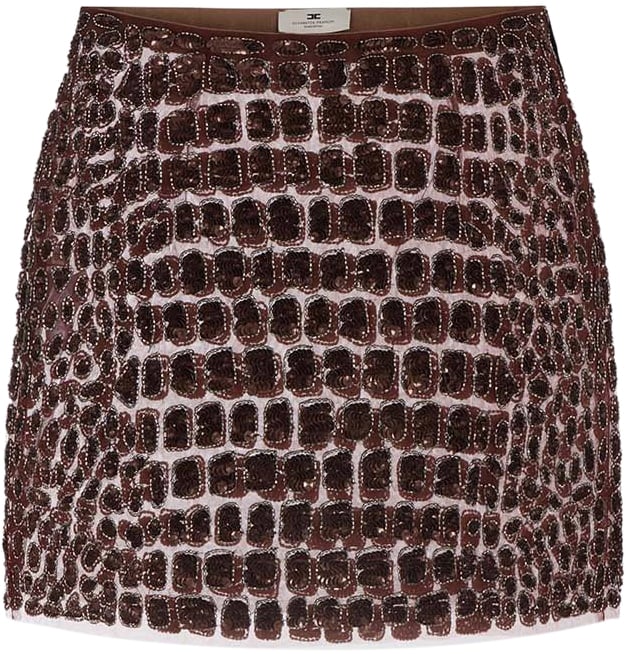 Elisabetta Franchi Skirts Coffee Bruin