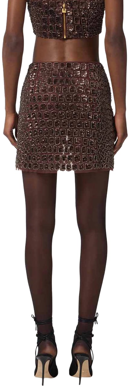 Elisabetta Franchi Skirts Coffee Bruin
