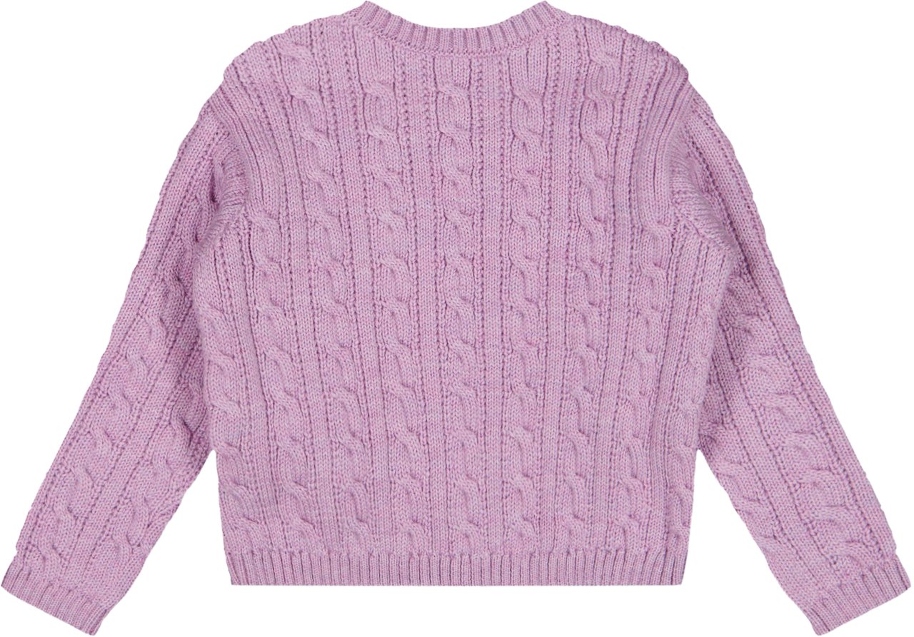 Dolce & Gabbana Dolce & Gabbana Baby Meisjes Trui In Lila Paars
