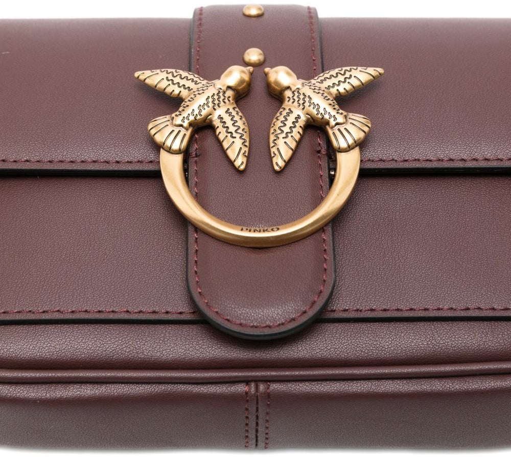 Pinko Bags Brown Bruin