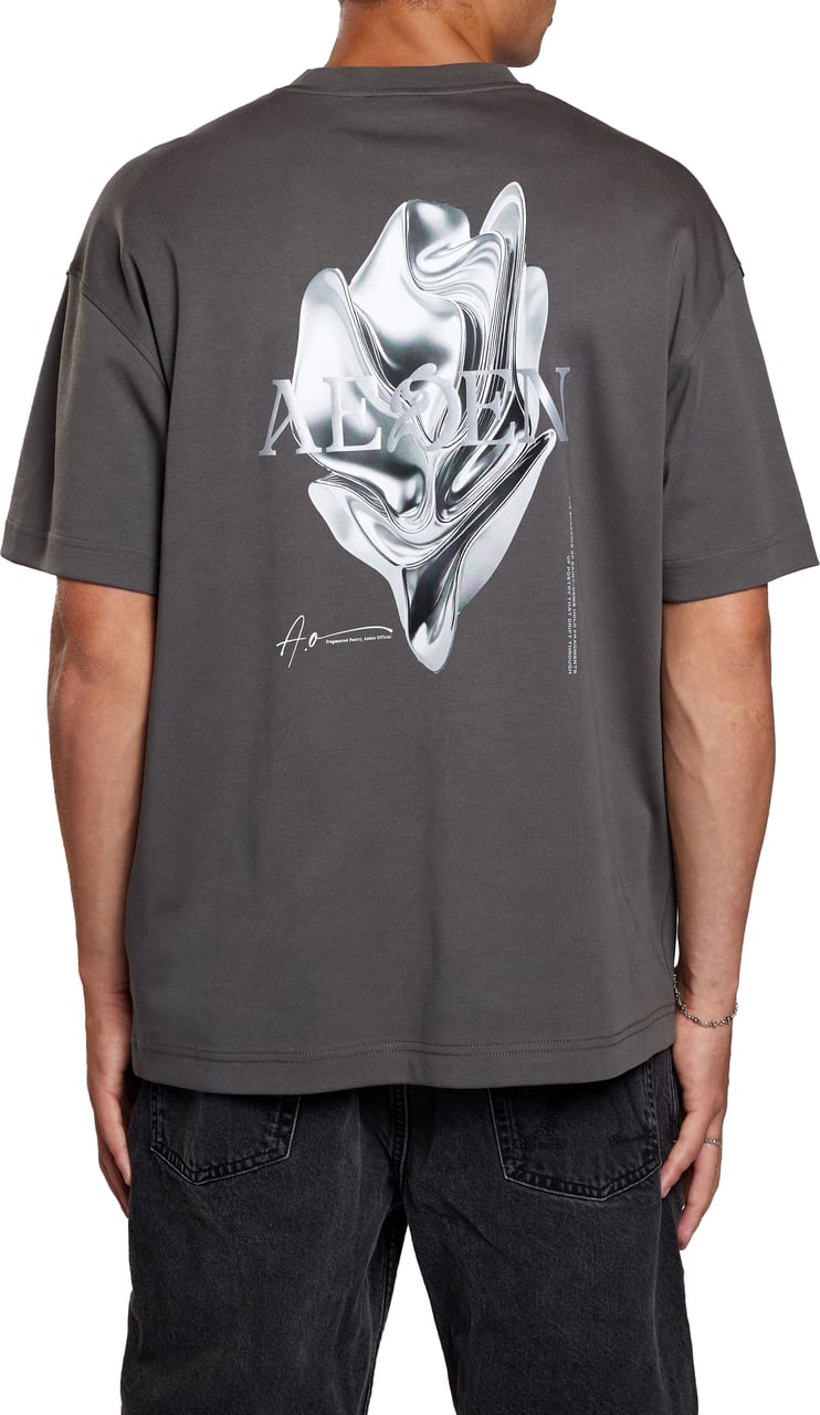 Aeden Mickey Tee Dark Shadow Grey Grijs