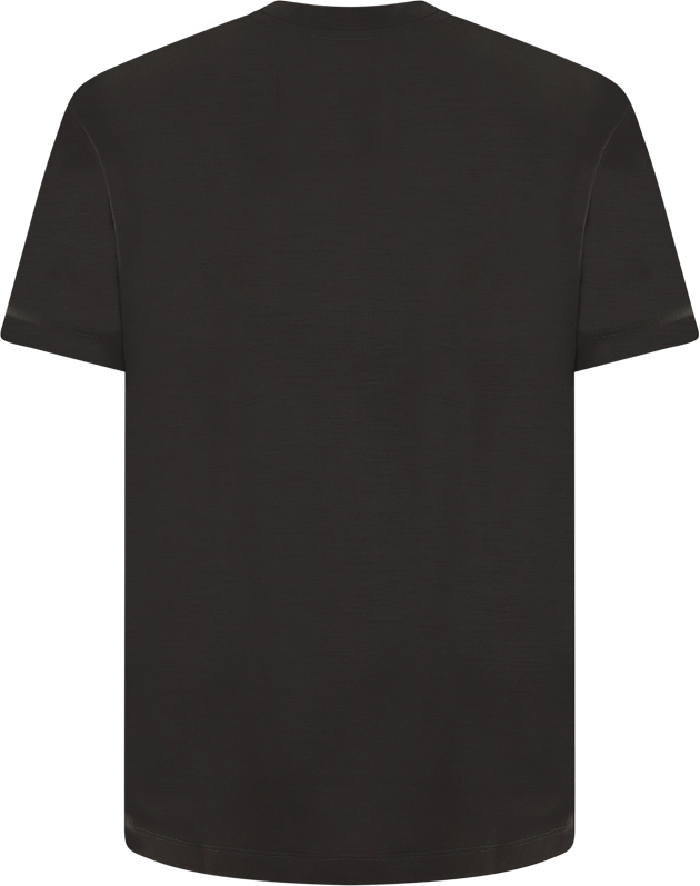 Valenza Heren Merino T-Shirt Bruin Bruin