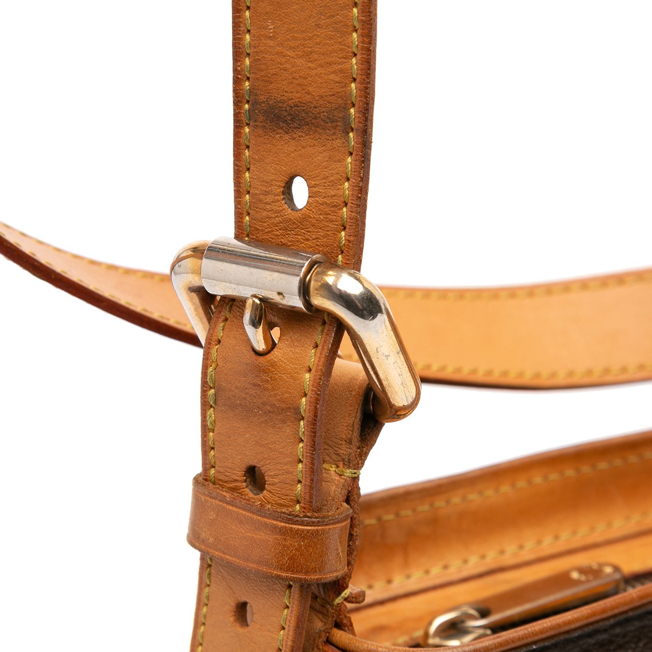 Louis Vuitton Monogram Hudson GM Bruin
