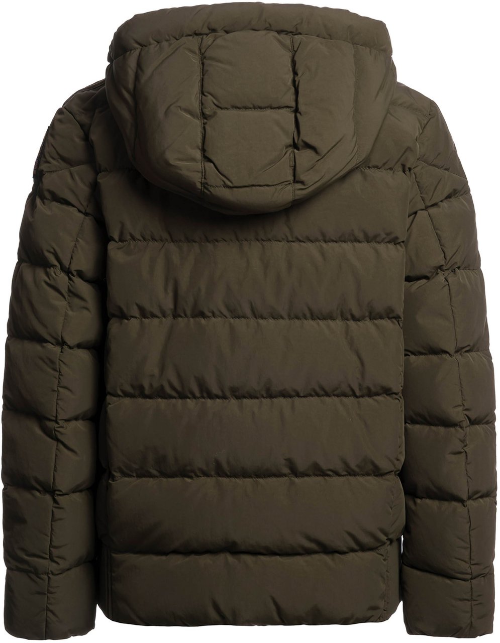 Parajumpers Cassian Matte Jas Groen