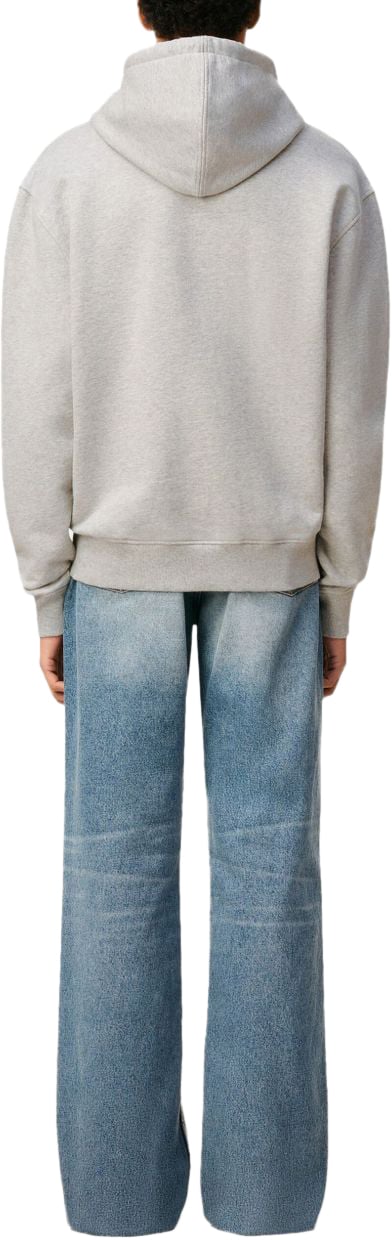 AMI Paris Adc Hoodie Grigio Grijs
