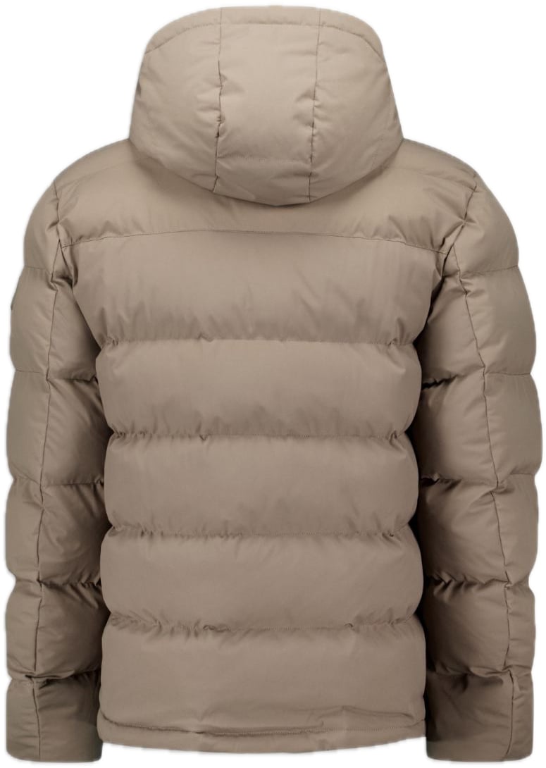 Airforce Vic Jacket Bruin